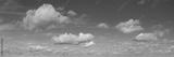 preview bw