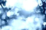 preview cold
