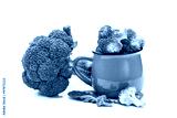 preview cold