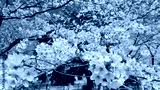preview cold