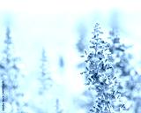 preview cold