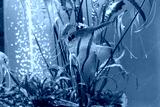 preview cold