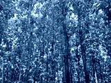 preview cold