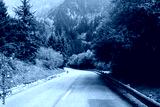 preview cold