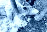 preview cold