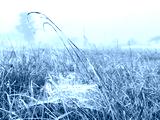 preview cold