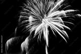 preview bw