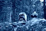 preview cold