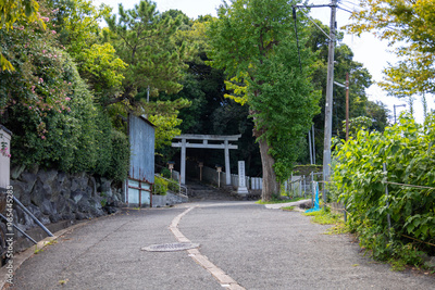 image to crop