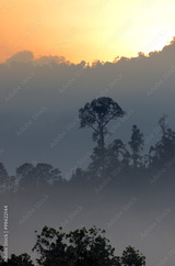 preview original