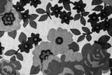 preview bw