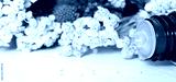 preview cold