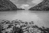 preview bw