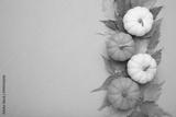 preview bw