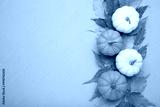 preview cold