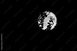preview bw