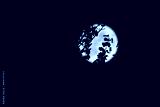 preview cold