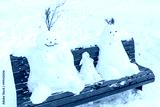 preview cold