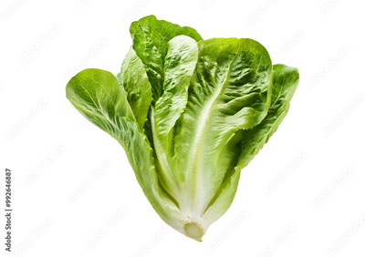 image to crop