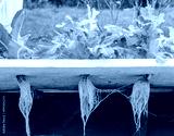 preview cold