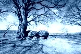 preview cold