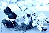 preview cold