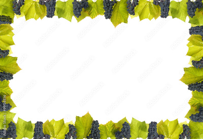 image to crop