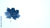 preview cold
