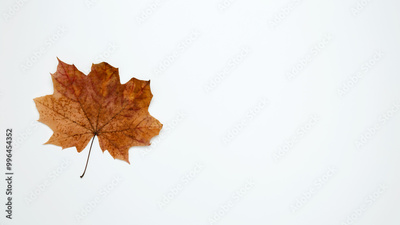 image to crop