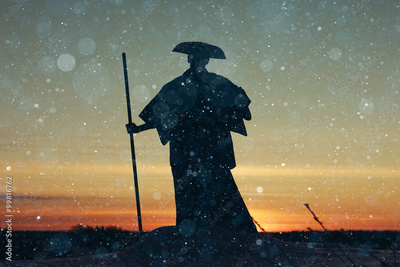 image to crop