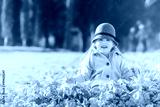 preview cold