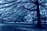 preview cold